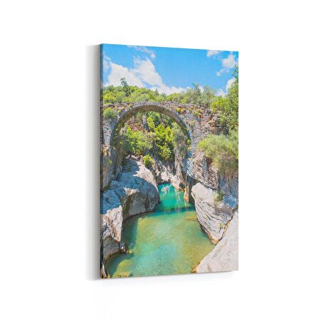 Olla 14420D Doğa / Manzara Görseli Dikey Kanvas Tablo (Ölçü: 60X90)