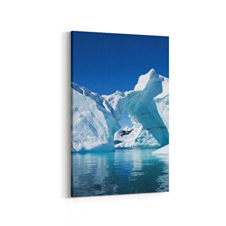 Olla 13755D Doğa / Manzara Görseli Dikey Kanvas Tablo (Ölçü: 20X30)