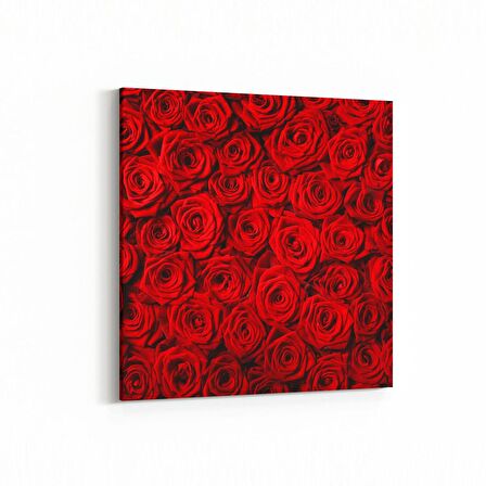 Olla 11559K Çiçek Görseli Kare Kanvas Tablo (Ölçü: 30X30)