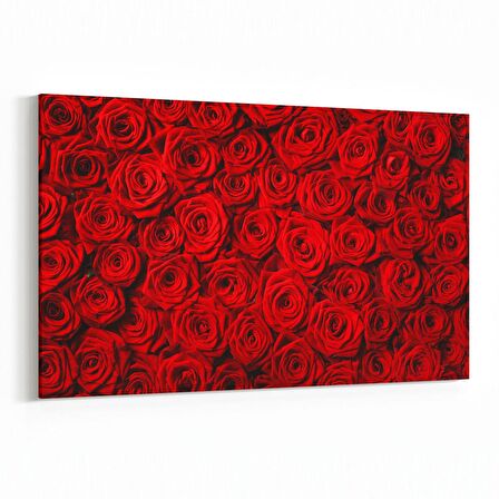 Olla 11559Y Çiçek Görseli Yatay Kanvas Tablo (Ölçü: 90X60)