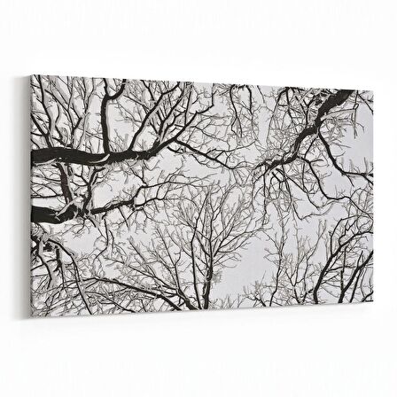 Olla 10521Y Ağaç Görseli Yatay Kanvas Tablo (Ölçü: 150X100)