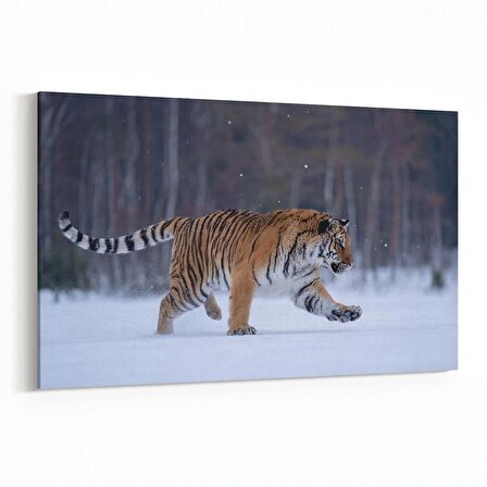 Olla 12518Y Hayvanlar Alemi Görseli Yatay Kanvas Tablo (Ölçü: 45X30)