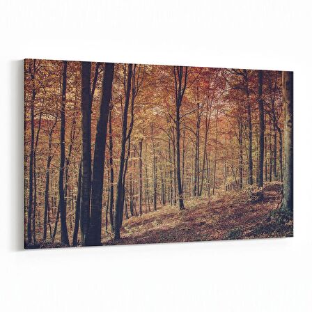 Olla 14136Y Doğa / Manzara Görseli Yatay Kanvas Tablo (Ölçü: 70X50)