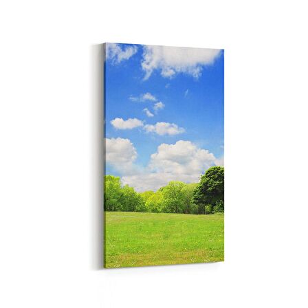 Olla 14590DD Doğa / Manzara Görseli Dikey Dar Kanvas Tablo (Ölçü: 40X80)