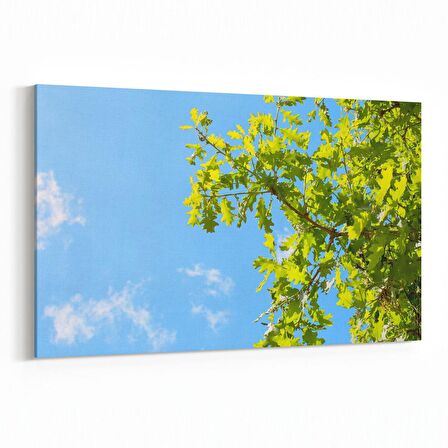 Olla 10832Y Ağaç Görseli Yatay Kanvas Tablo (Ölçü: 120X80)