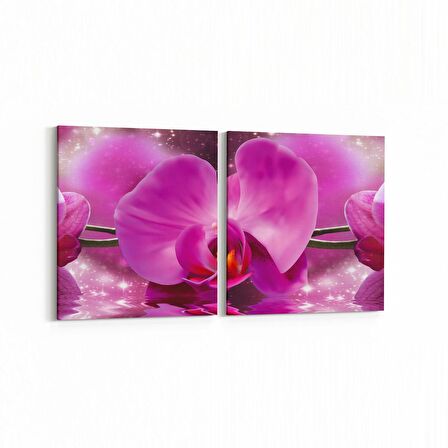 Olla 11731K2Y Orkide Çiçek Görseli 2'li Yatay Kanvas Tablo (Ölçü: 85X40)