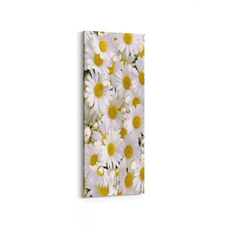 Olla 11634DI Çiçek Görseli Dikey İnce Kanvas Tablo (Ölçü: 30X90)