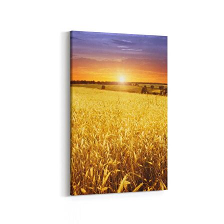 Olla 16076D Günbatımı Görseli Dikey Kanvas Tablo (Ölçü: 100X150)