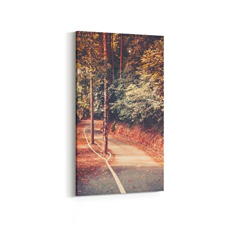 Olla 14454DD Doğa / Manzara Görseli Dikey Dar Kanvas Tablo (Ölçü: 40X80)