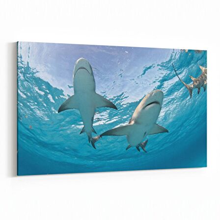 Olla 12953Y Deniz / Okyanus Görseli Yatay Kanvas Tablo (Ölçü: 150X100)