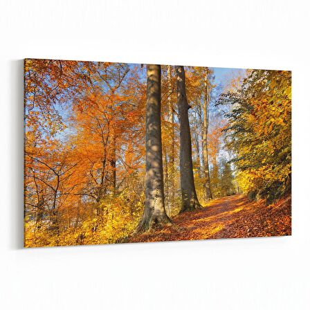 Olla 13255Y Doğa / Manzara Görseli Yatay Kanvas Tablo (Ölçü: 120X80)