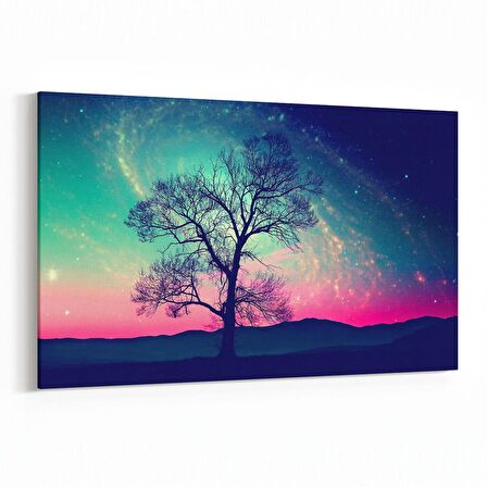 Olla 14736Y Gece Gökyüzü Görseli Yatay Kanvas Tablo (Ölçü: 90X60)