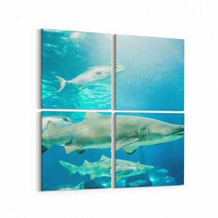 Olla 12896K4 Deniz / Okyanus Görseli Kare 4'lü Kanvas Tablo (Ölçü: 125X125)
