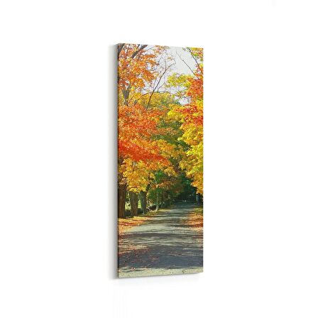Olla 14529DI Doğa / Manzara Görseli Dikey İnce Kanvas Tablo (Ölçü: 40X120)