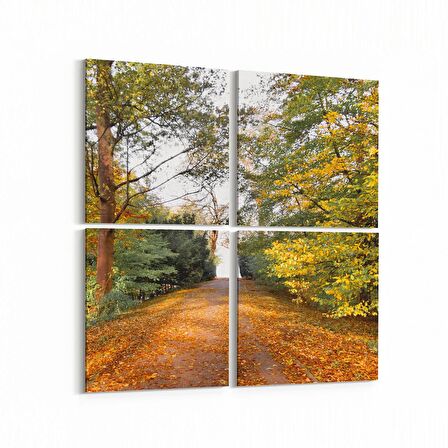 Olla 13273K4 Doğa / Manzara Görseli Kare 4'lü Kanvas Tablo (Ölçü: 65X65)