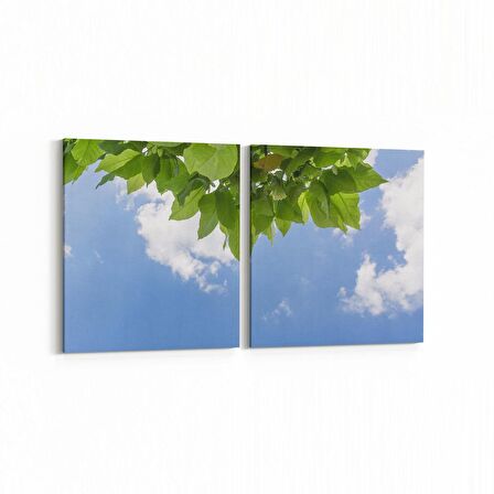 Olla 10800K2Y Ağaç Görseli Kare 2'li Yatay Kanvas Tablo (Ölçü: 145X70)