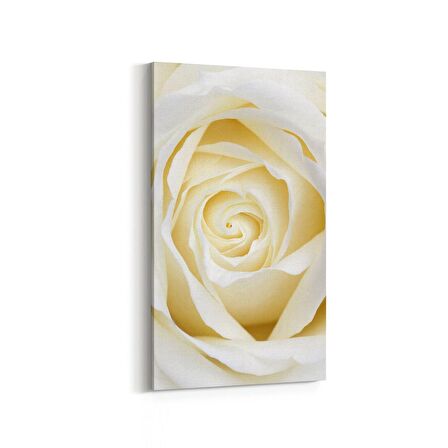 Olla 11638DD Çiçek Görseli Dikey Dar Kanvas Tablo (Ölçü: 60X120)