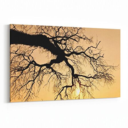Olla 10560Y Ağaç Görseli Yatay Kanvas Tablo (Ölçü: 120X80)