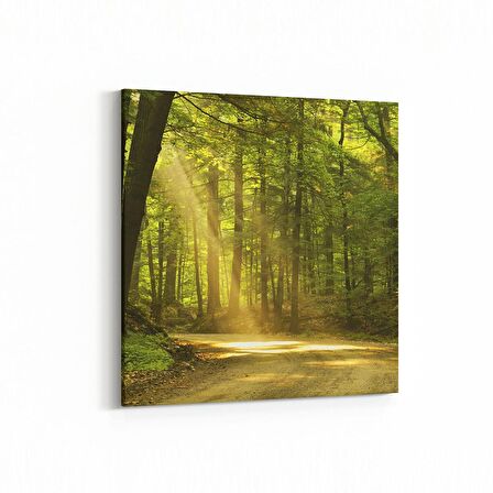 Olla 14045K Doğa / Manzara Görseli Kare Kanvas Tablo (Ölçü: 30X30)