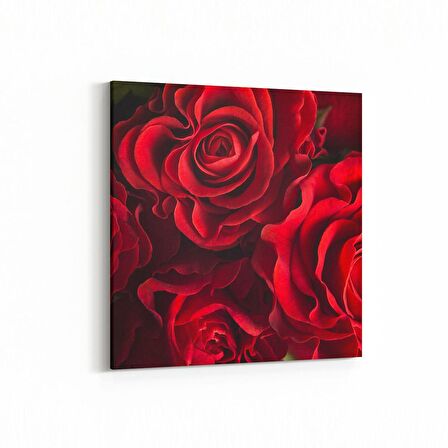 Olla 11590K Çiçek Görseli Kare Kanvas Tablo (Ölçü: 25X25)