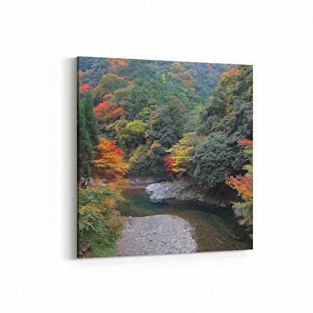 Olla 13337K Doğa / Manzara Görseli Kare Kanvas Tablo (Ölçü: 25X25)