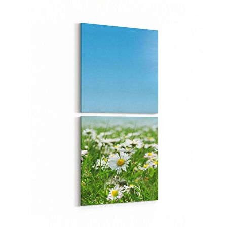 Olla 14585K2D Doğa / Manzara Görseli Kare 2'li Dikey Kanvas Tablo (Ölçü: 30X65)