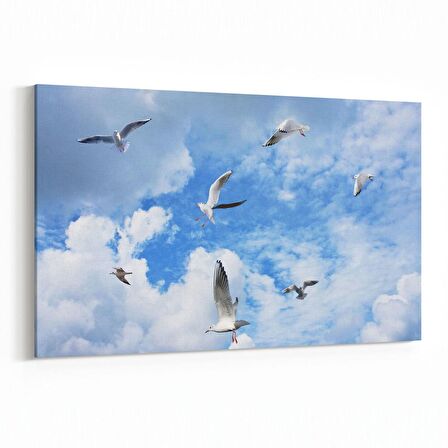 Olla 15828Y Gökyüzü Kuşlar Görseli Yatay Kanvas Tablo (Ölçü: 90X60)
