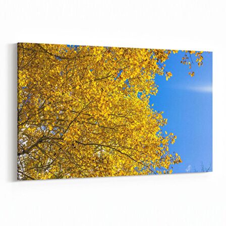 Olla 10838Y Ağaç Görseli Yatay Kanvas Tablo (Ölçü: 90X60)