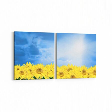 Olla 14540K2Y Doğa / Manzara Görseli Kare 2'li Yatay Kanvas Tablo (Ölçü: 65X30)