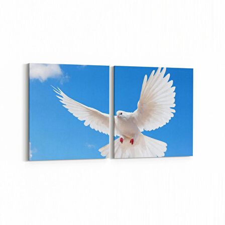 Olla 15887K2Y Gökyüzü Kuşlar Görseli Kare 2'li Yatay Kanvas Tablo (Ölçü: 145X70)