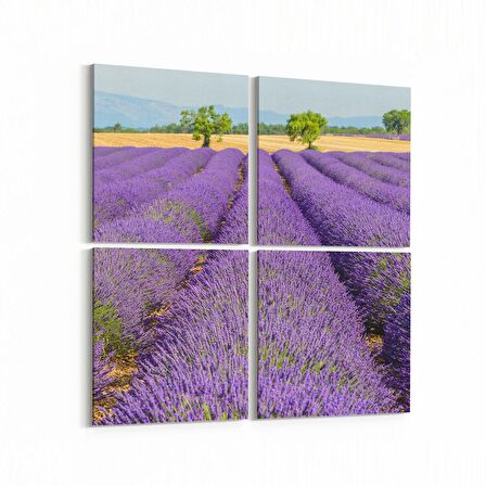 Olla 14110K4 Doğa / Manzara Görseli Kare 4'lü Kanvas Tablo (Ölçü: 145X145)