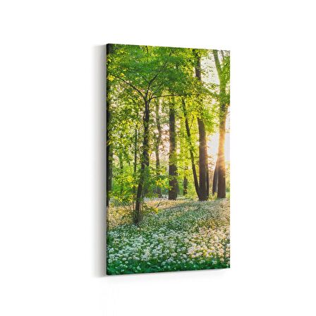 Olla 14017DD Doğa / Manzara Görseli Dikey Dar Kanvas Tablo (Ölçü: 30X60)