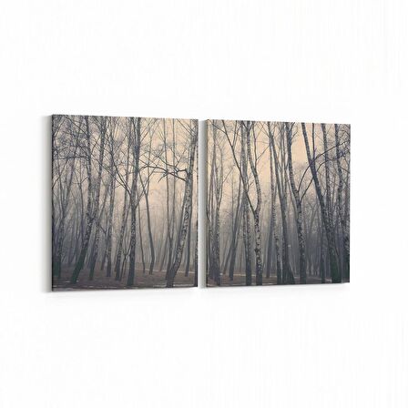 Olla 13155K2Y Doğa / Manzara Görseli Kare 2'li Yatay Kanvas Tablo (Ölçü: 65X30)