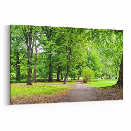 Olla 13321Y Doğa / Manzara Görseli Yatay Kanvas Tablo (Ölçü: 45X30)