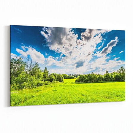 Olla 13863Y Doğa / Manzara Görseli Yatay Kanvas Tablo (Ölçü: 90X60)