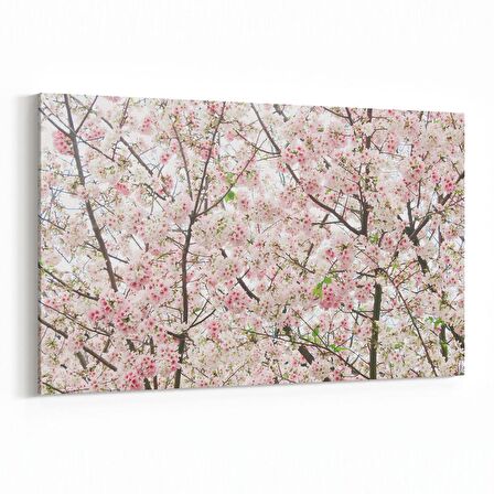 Olla 10994Y Ağaç Görseli Yatay Kanvas Tablo (Ölçü: 30X20)