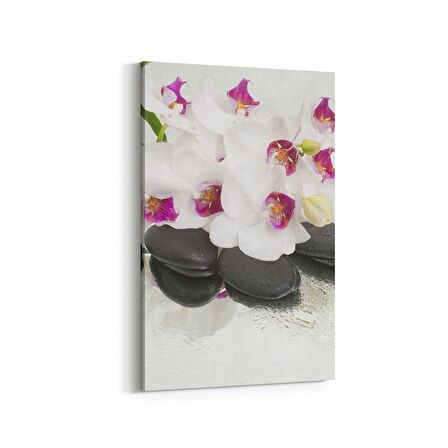 Olla 17103D Spa / Masaj Görseli Dikey Kanvas Tablo (Ölçü: 60X90)