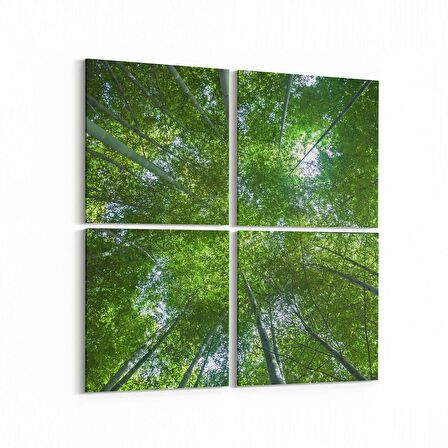 Olla 10518K4 Ağaç Görseli Kare 4'lü Kanvas Tablo (Ölçü: 145X145)