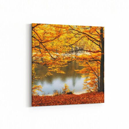 Olla 14409K Doğa / Manzara Görseli Kare Kanvas Tablo (Ölçü: 25X25)