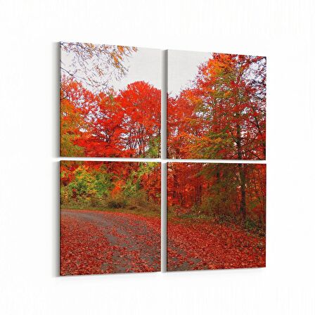 Olla 13211K4 Doğa / Manzara Görseli Kare 4'lü Kanvas Tablo (Ölçü: 145X145)