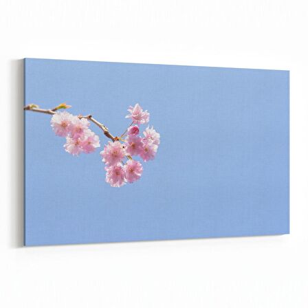 Olla 10867Y Ağaç Görseli Yatay Kanvas Tablo (Ölçü: 150X100)