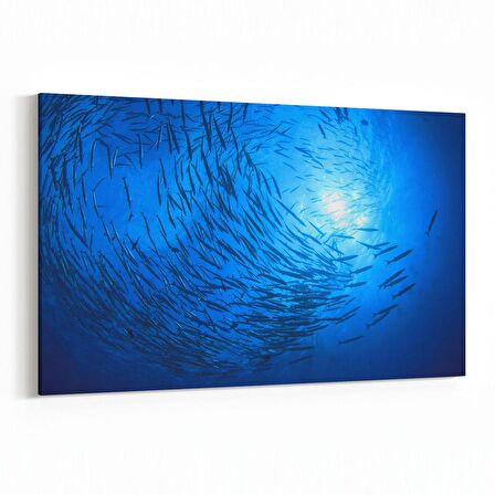 Olla 12969Y Deniz / Okyanus Görseli Yatay Kanvas Tablo (Ölçü: 30X20)