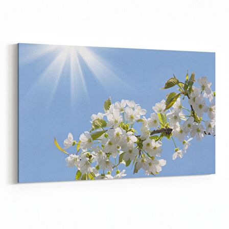 Olla 10765Y Ağaç Görseli Yatay Kanvas Tablo (Ölçü: 45X30)