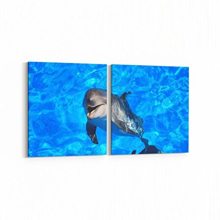 Olla 12993K2Y Deniz / Okyanus Görseli Kare 2'li Yatay Kanvas Tablo (Ölçü: 105X50)