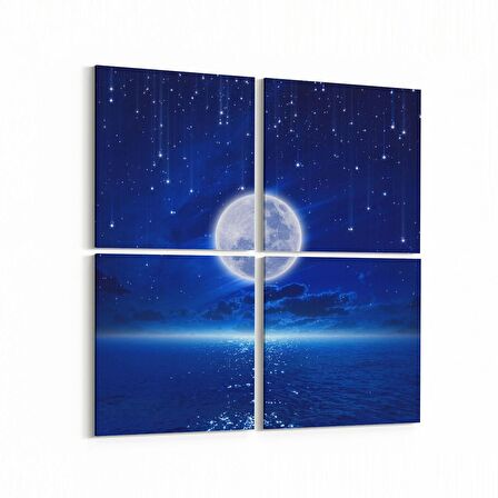 Olla 14703K4 Gece Gökyüzü Görseli Kare 4'lü Kanvas Tablo (Ölçü: 105X105)