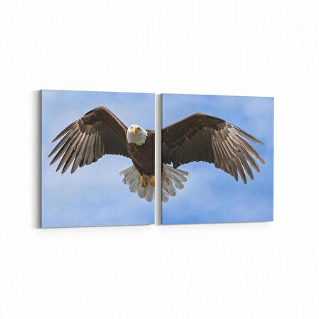 Olla 12652K2Y Hayvanlar Alemi Görseli Kare 2'li Yatay Kanvas Tablo (Ölçü: 85X40)