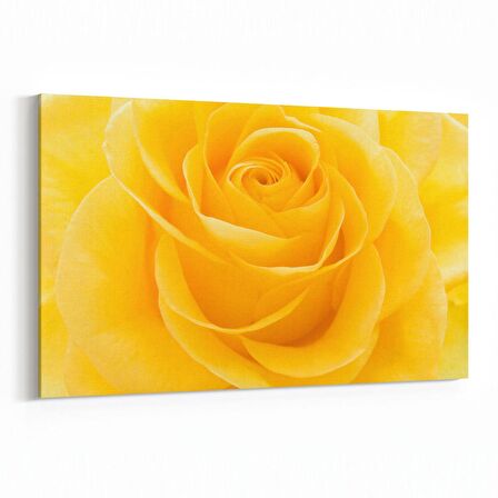 Olla 11648Y Çiçek Görseli Yatay Kanvas Tablo (Ölçü: 90X60)