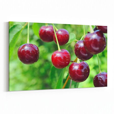 Olla 15303Y Gıda Görseli Yatay Kanvas Tablo (Ölçü: 70X50)