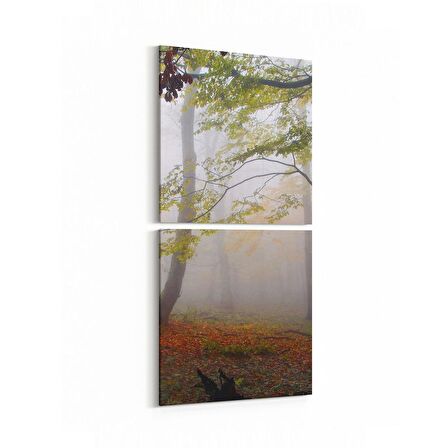 Olla 14134K2D Doğa / Manzara Görseli Kare 2'li Dikey Kanvas Tablo (Ölçü: 30X65)