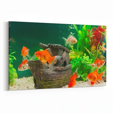 Olla 12780Y Çocuk Odası Görseli Yatay Kanvas Tablo (Ölçü: 45X30)